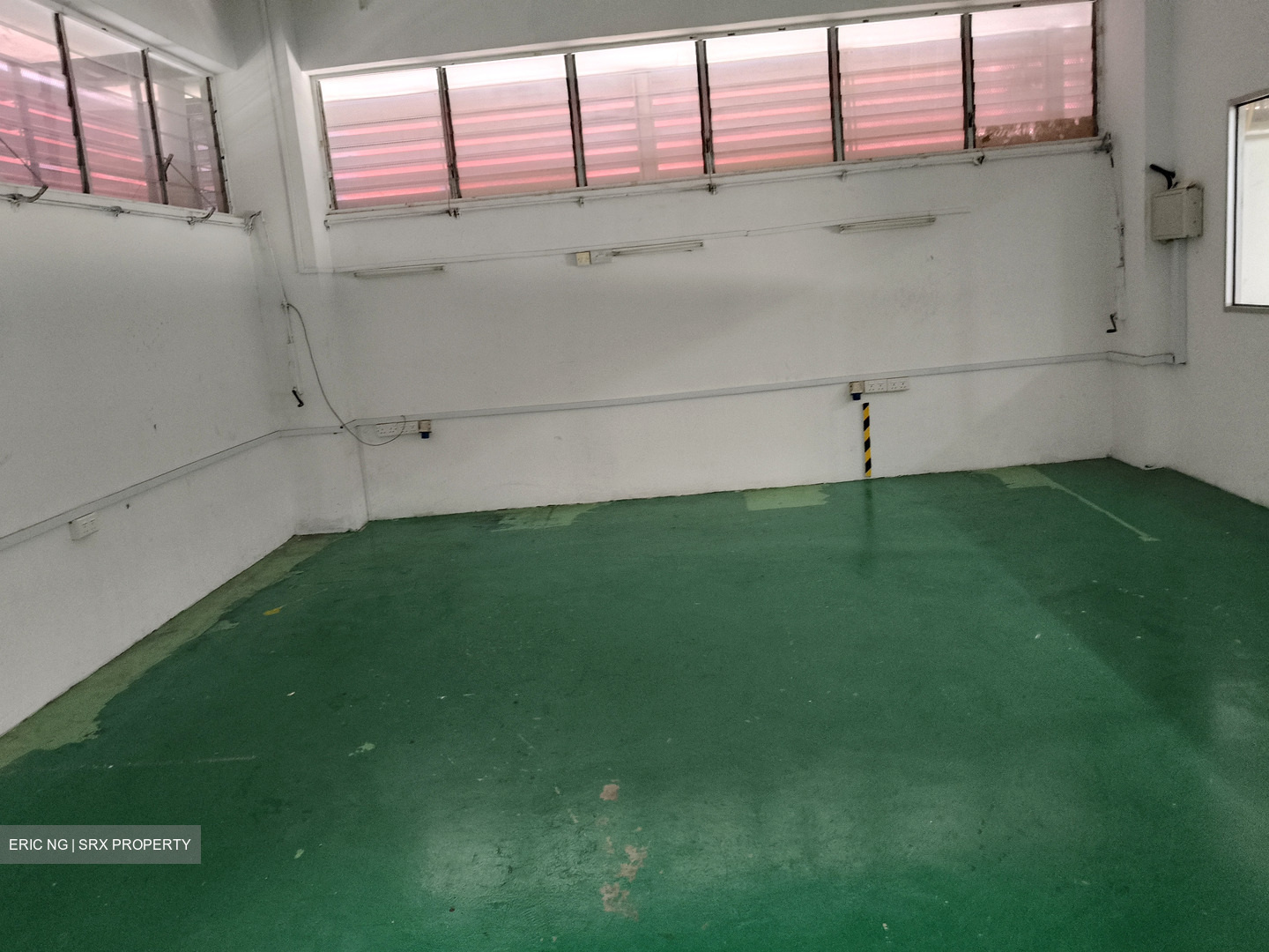 Loyang Industrial Estate (D17), Factory #550866781